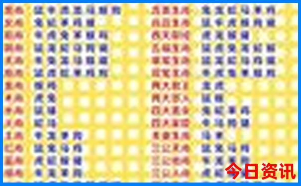49图库图片资料2025